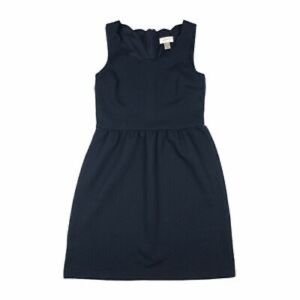 LOFT Navy Scalloped Dress